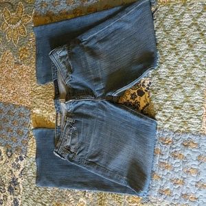 AG Adriano Goldschmied angel bootcut sz 32R